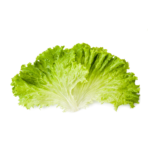 Lettuce Iceberg (1 pc)