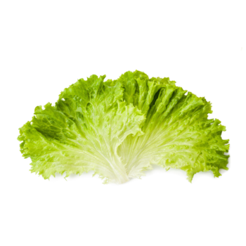 Lettuce Iceberg (1 pc)