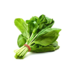 Spinach Fresh (500g)