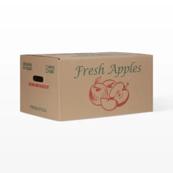 Apple's (5 kg Carton)