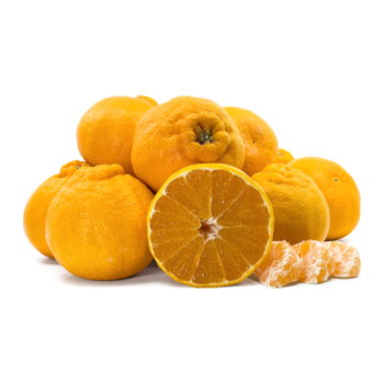 Orange Egypt (1 kg)